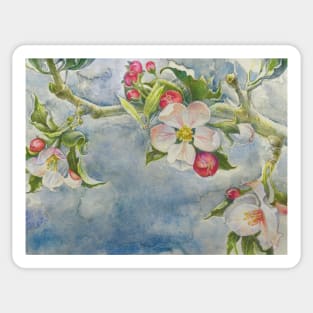 Apple Blossom Watercolor Art - Nature's Beauty in Brushstrokes Sticker